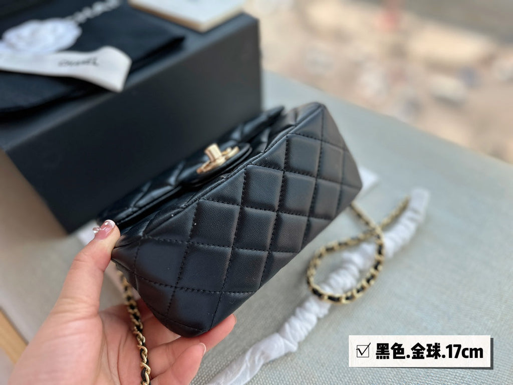 2023 CC handbag -107